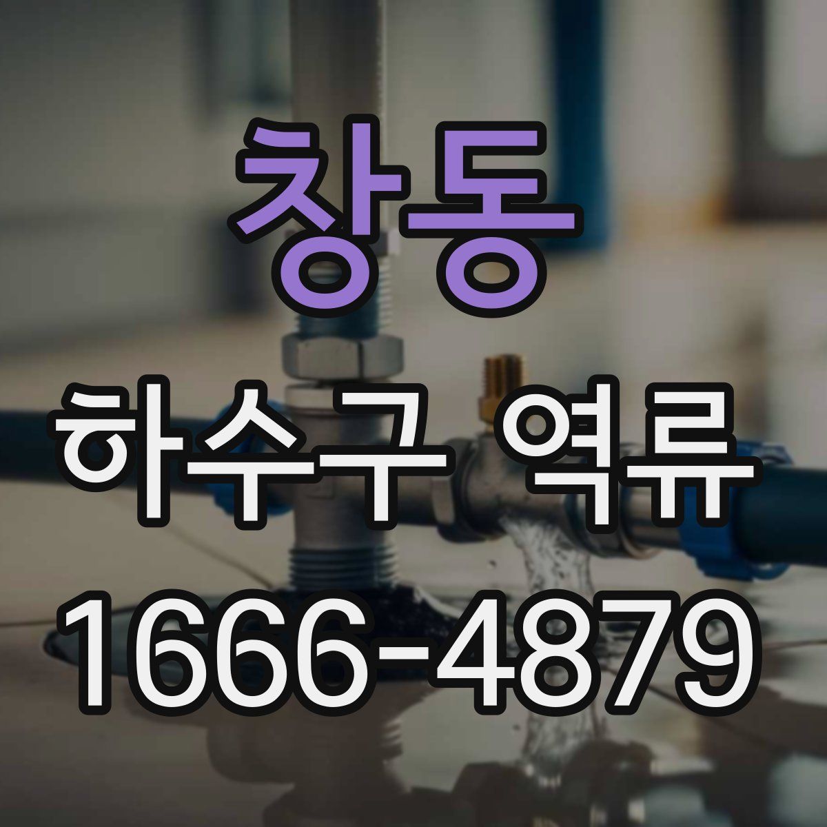 창동 하수구 역류