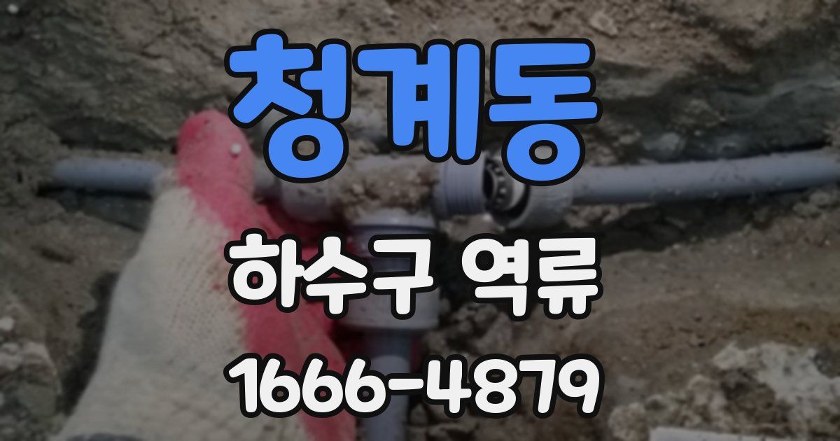 청계동 하수구 역류