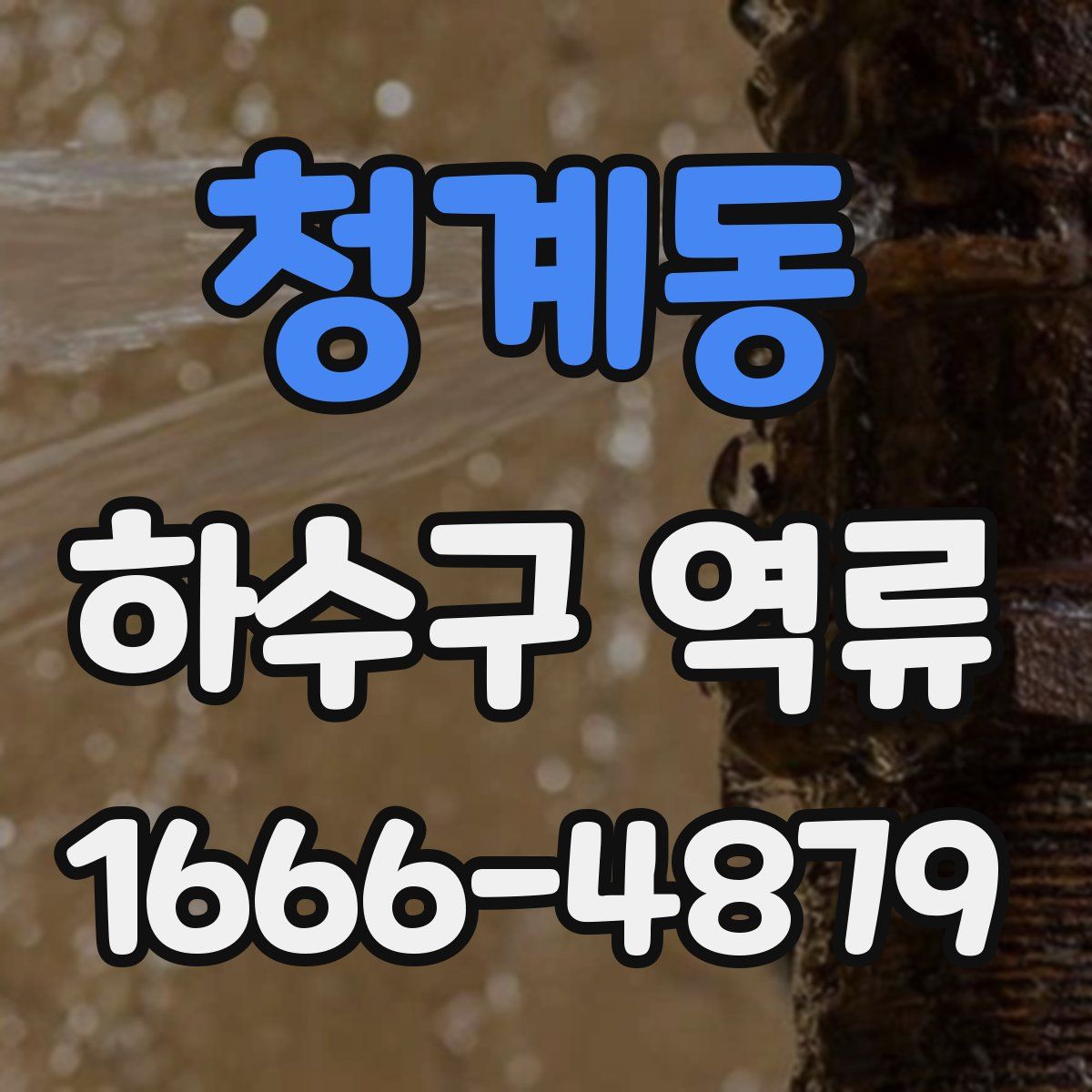 청계동 하수구 역류