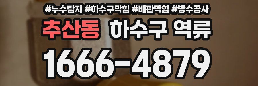 추산동 하수구 역류