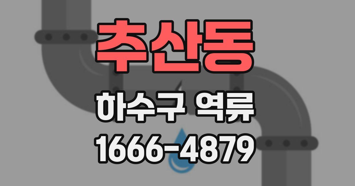 추산동 하수구 역류