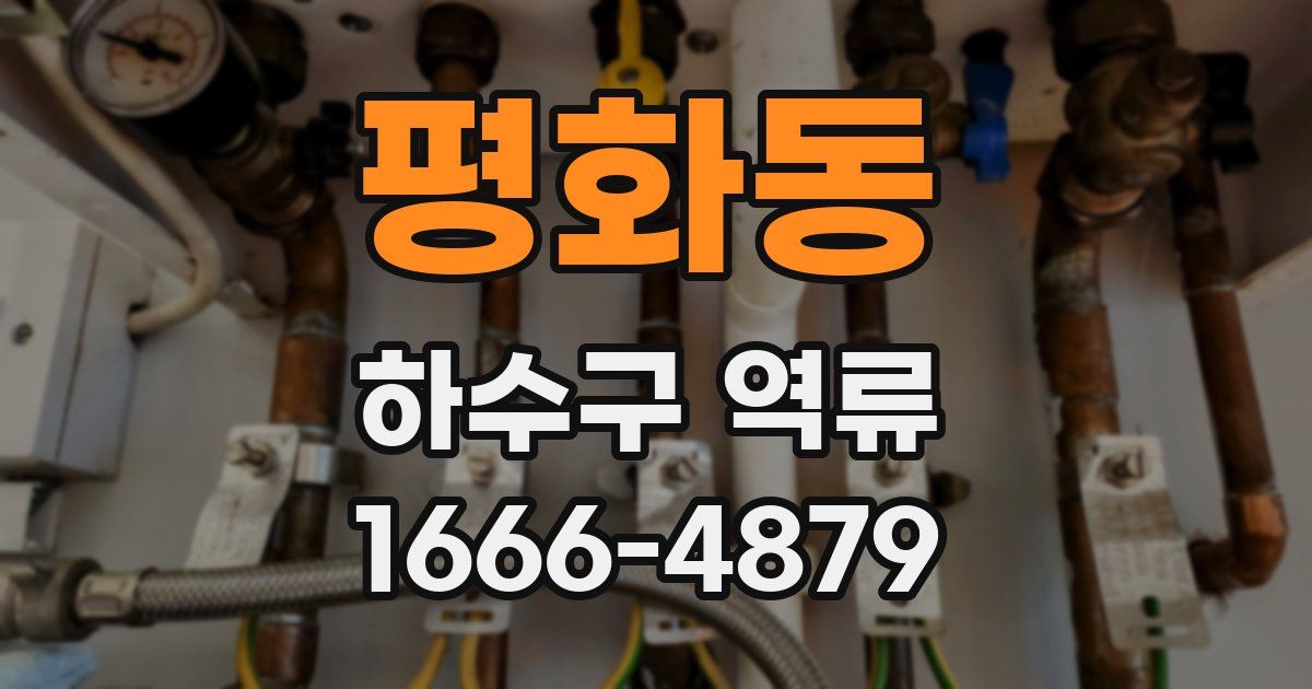 평화동 하수구 역류