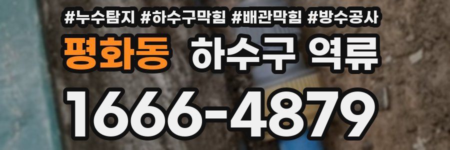 평화동 하수구 역류