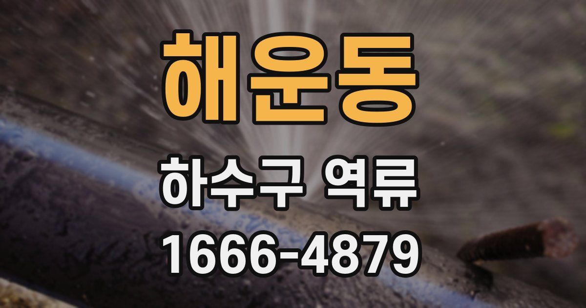 해운동 하수구 역류