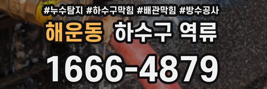 해운동 하수구 역류