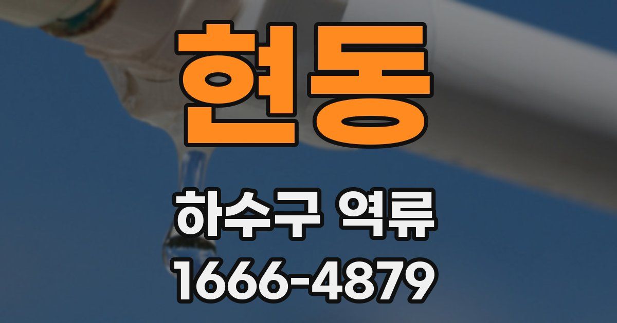 현동 하수구 역류