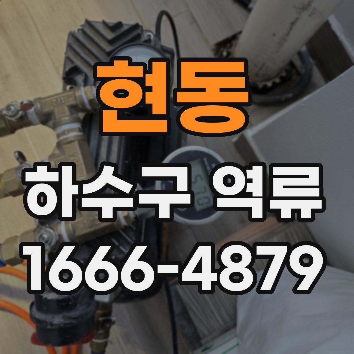 현동 하수구 역류