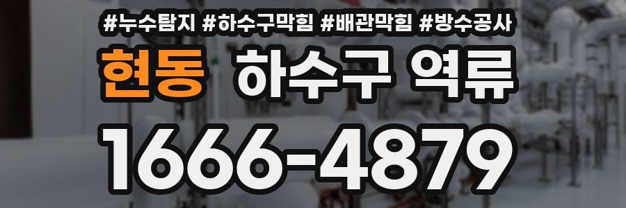 현동 하수구 역류