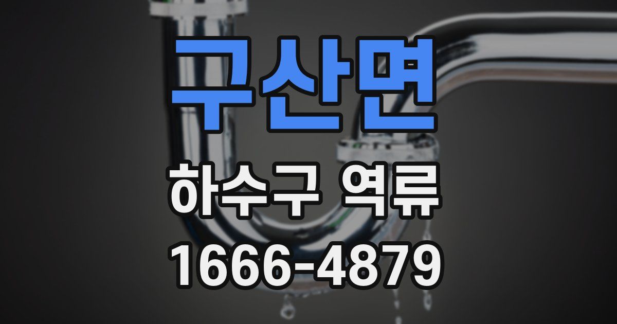 구산면 하수구 역류