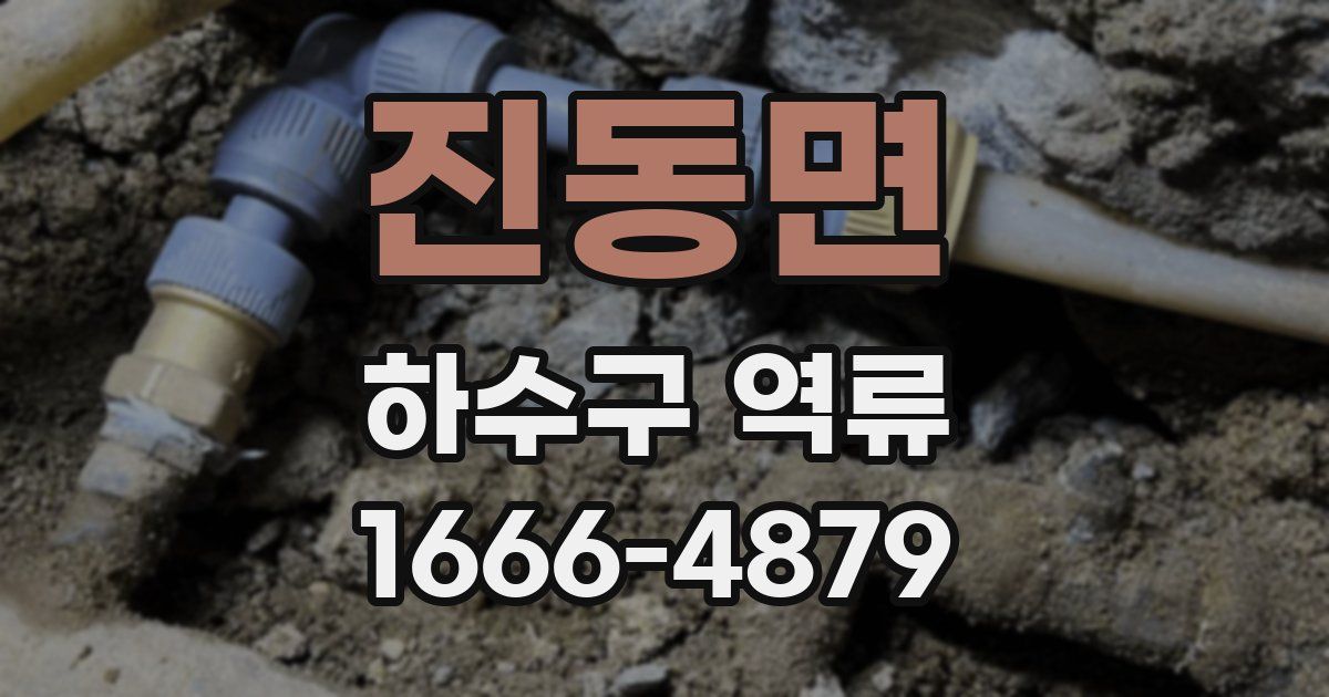 진동면 하수구 역류