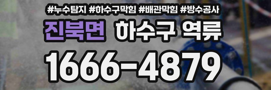 진북면 하수구 역류