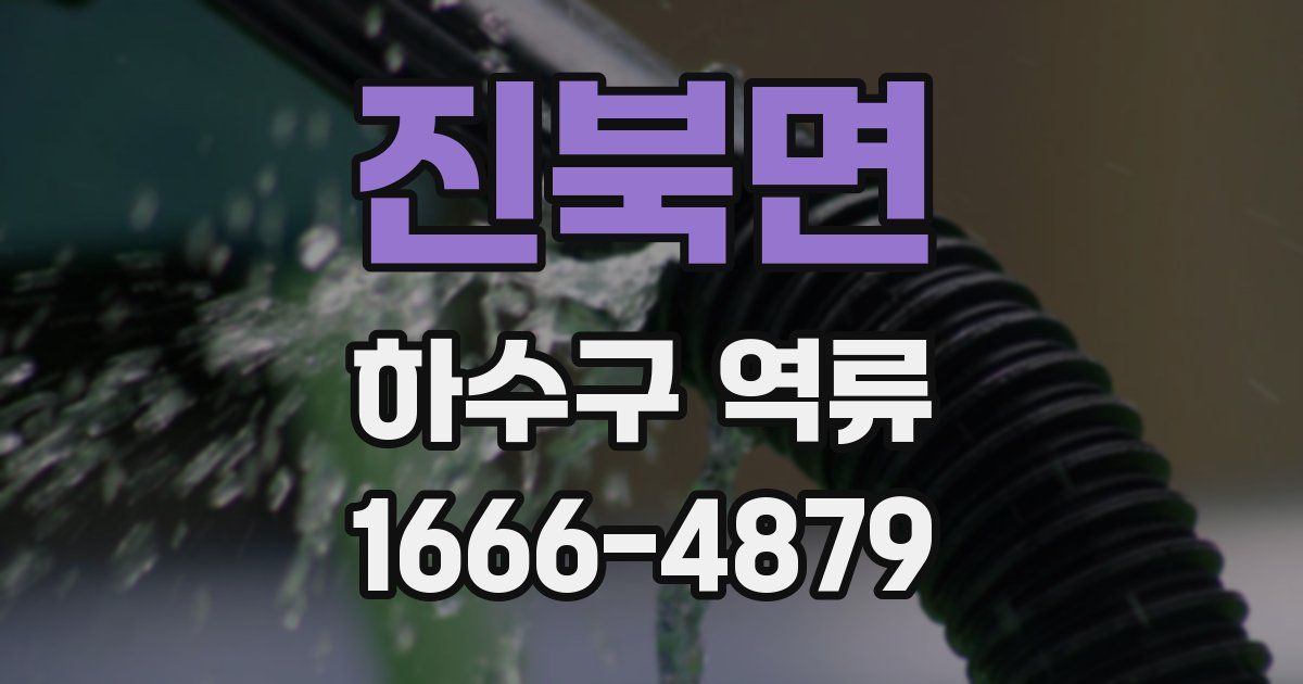 진북면 하수구 역류