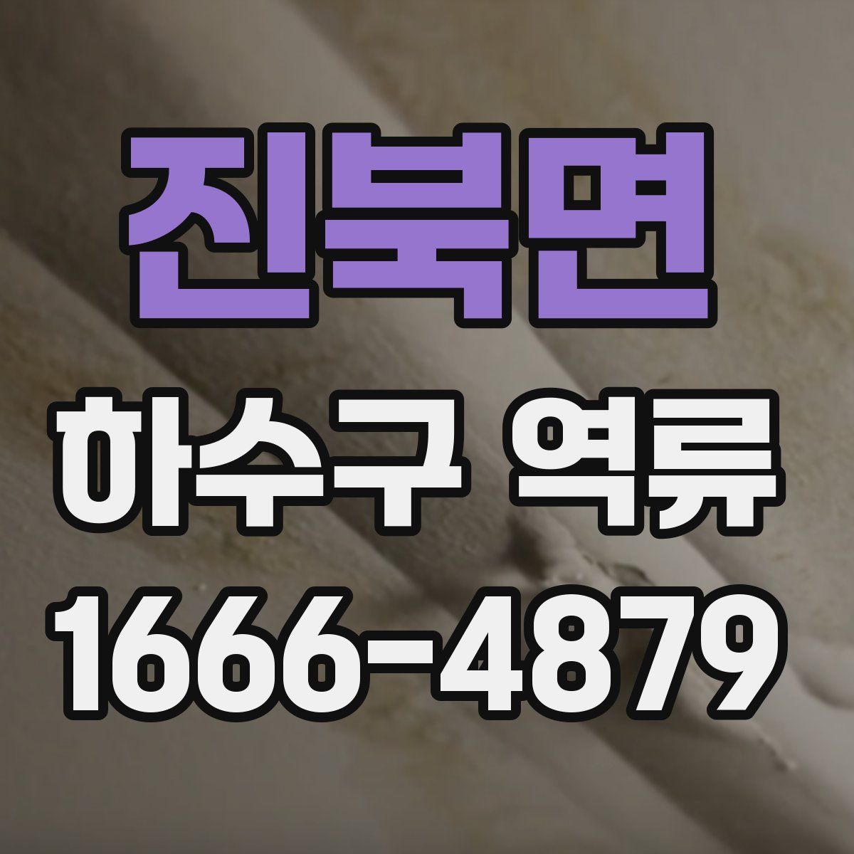 진북면 하수구 역류