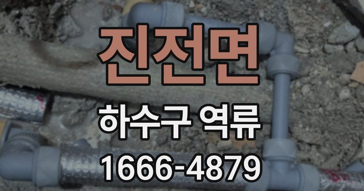 진전면 하수구 역류