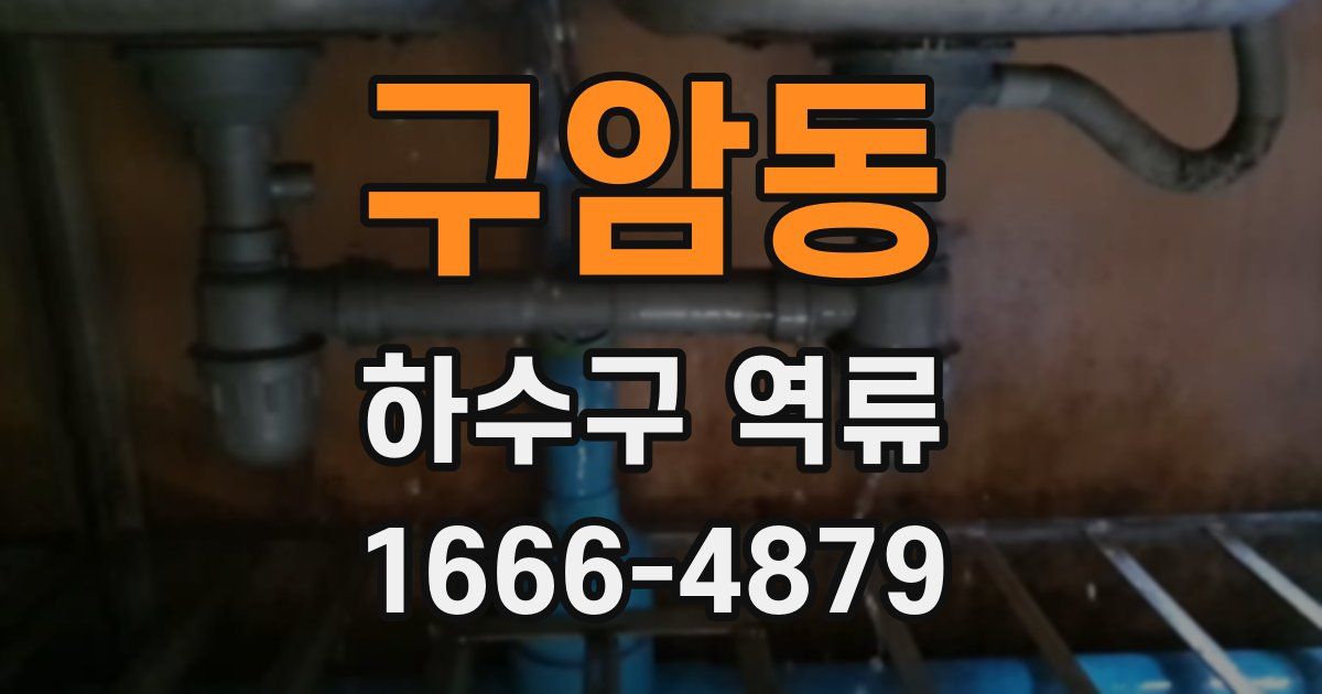 구암동 하수구 역류