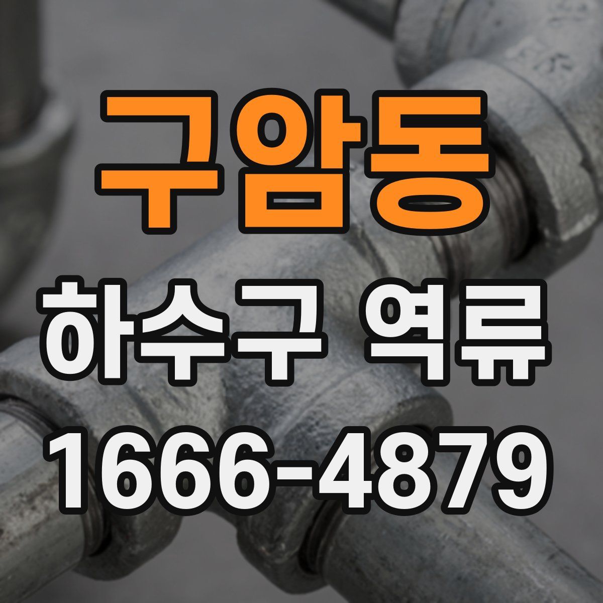 구암동 하수구 역류