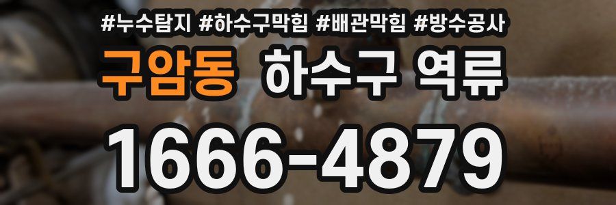 구암동 하수구 역류
