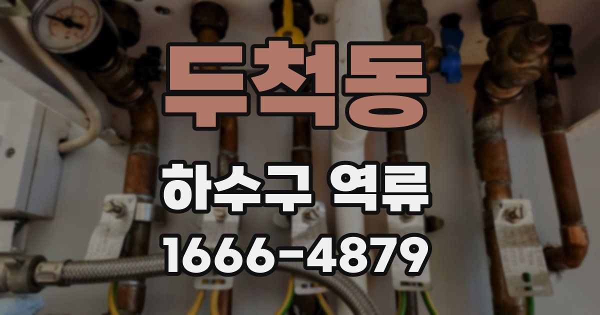 두척동 하수구 역류