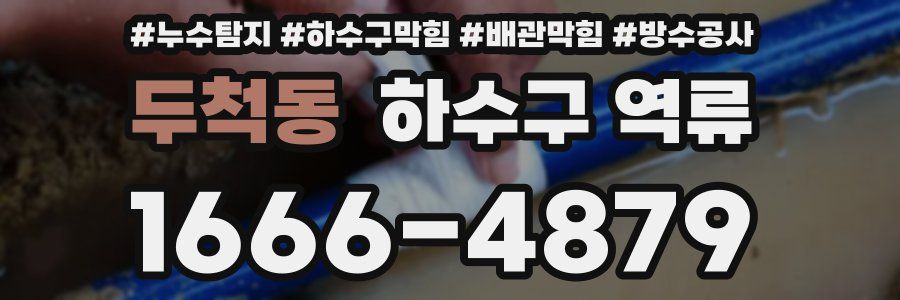 두척동 하수구 역류