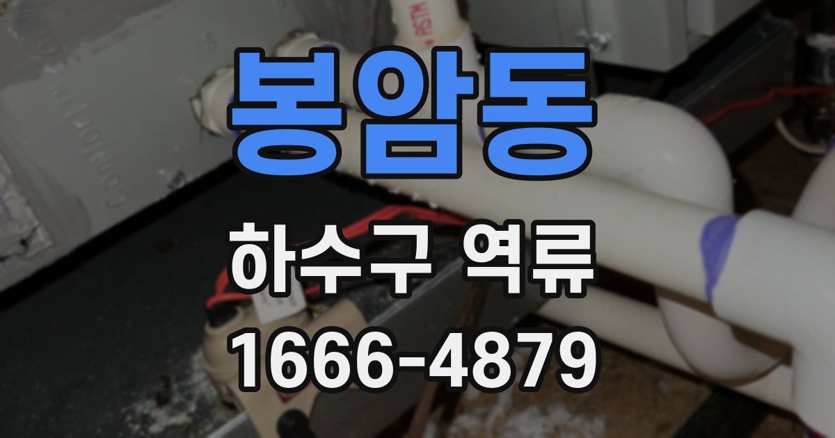 봉암동 하수구 역류
