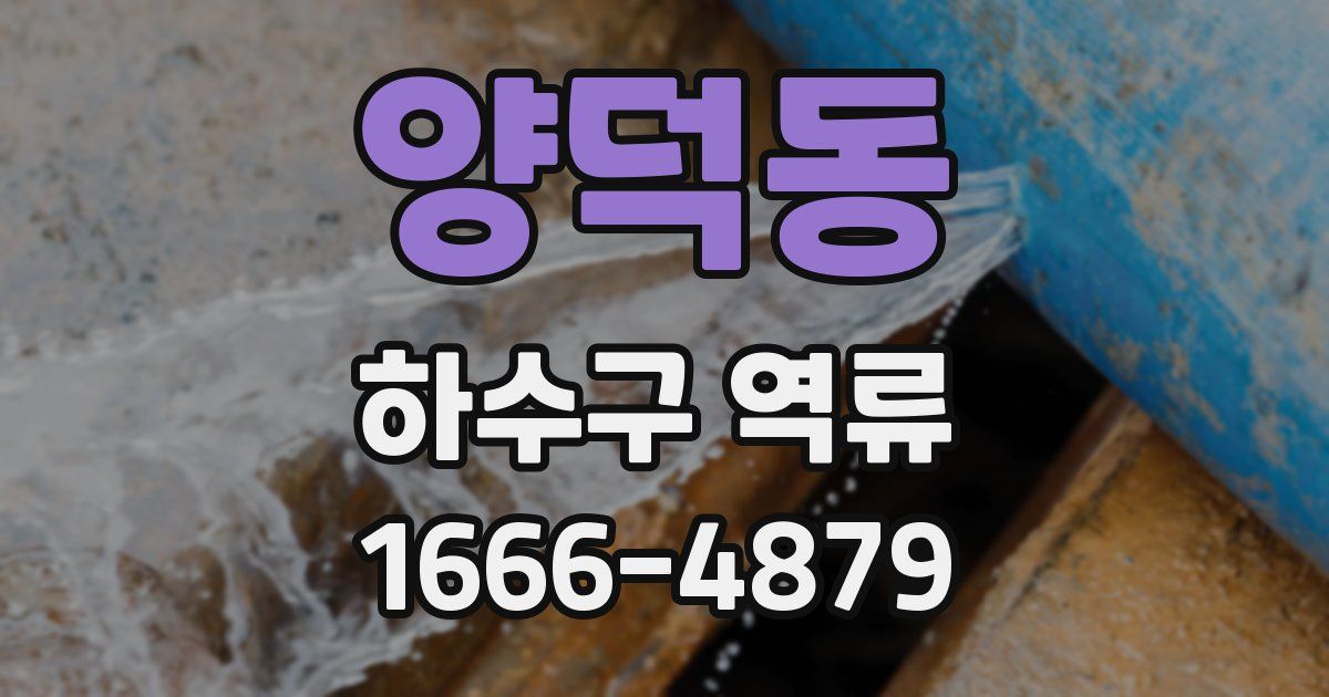 양덕동 하수구 역류