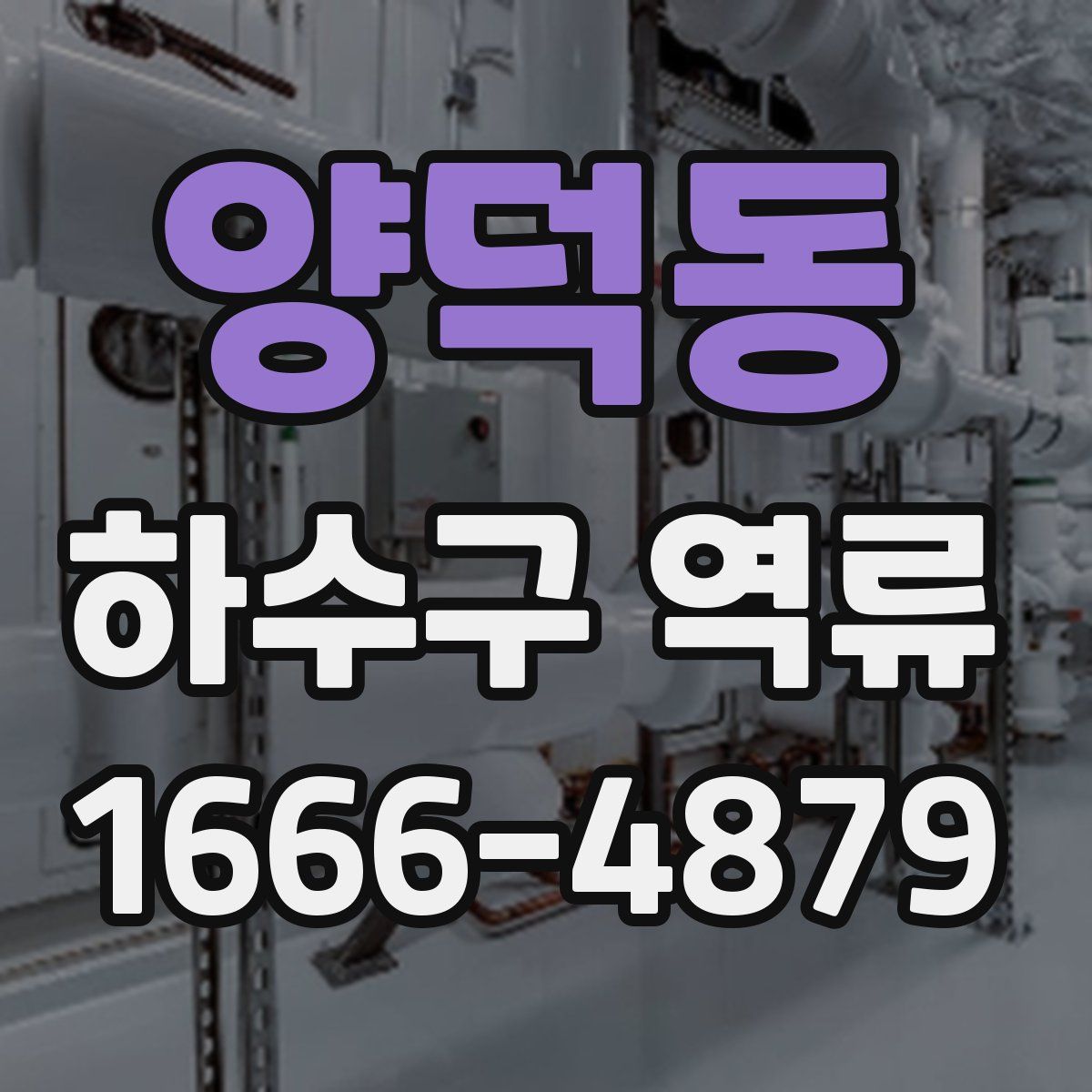 양덕동 하수구 역류