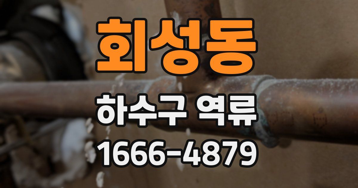 회성동 하수구 역류