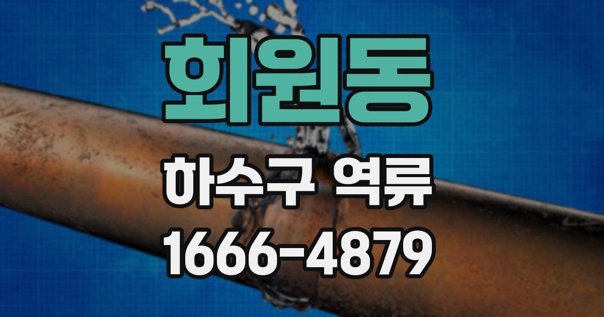 회원동 하수구 역류