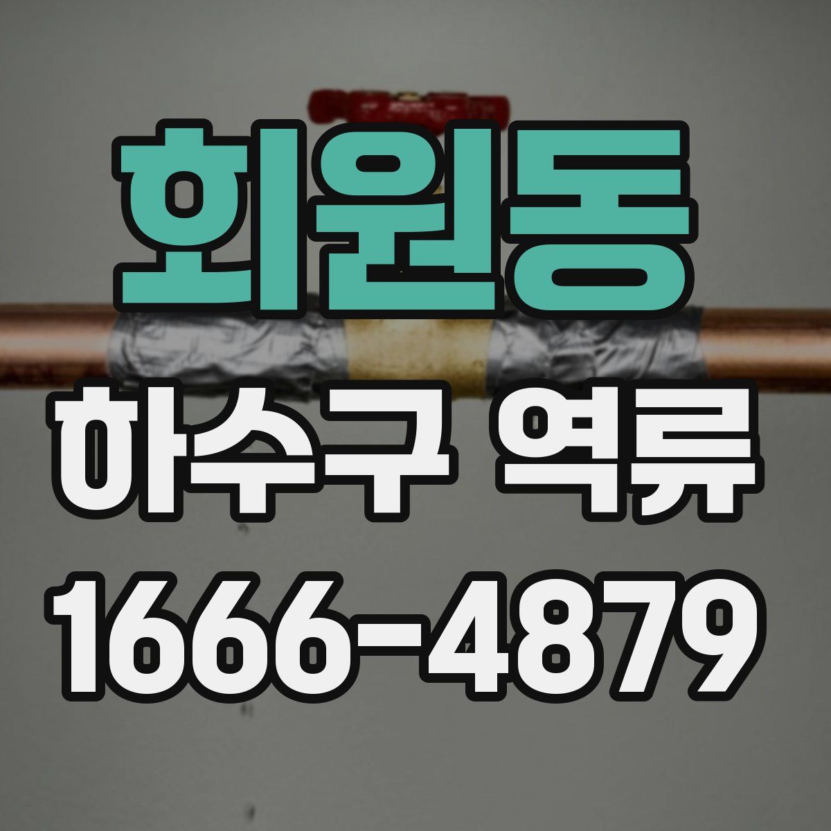 회원동 하수구 역류