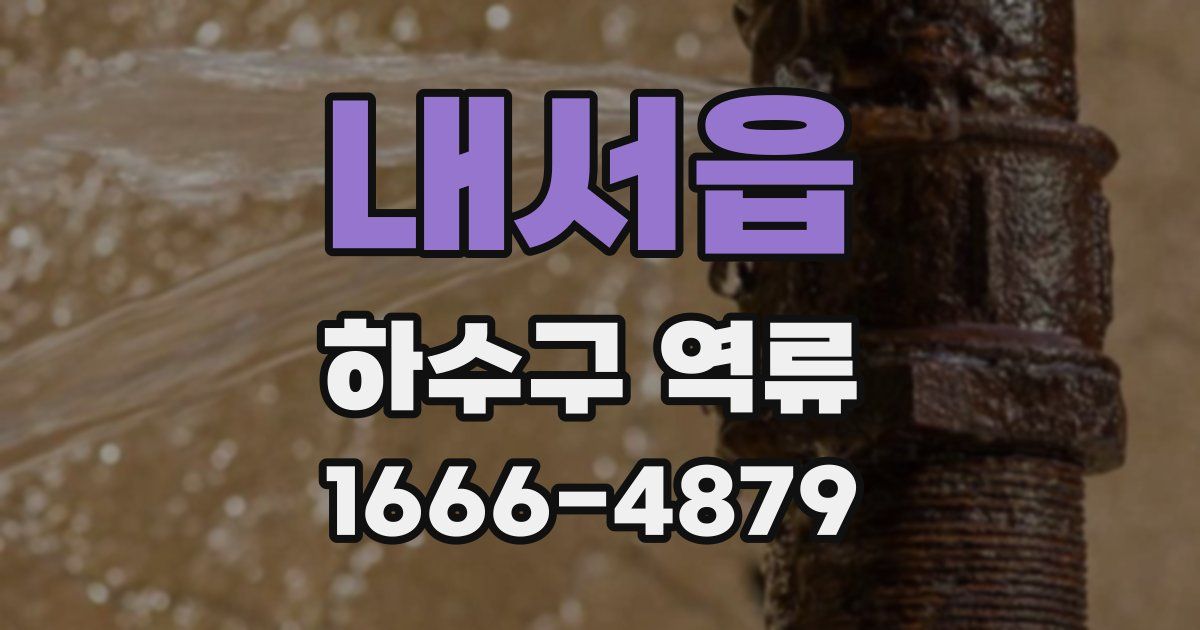 내서읍 하수구 역류