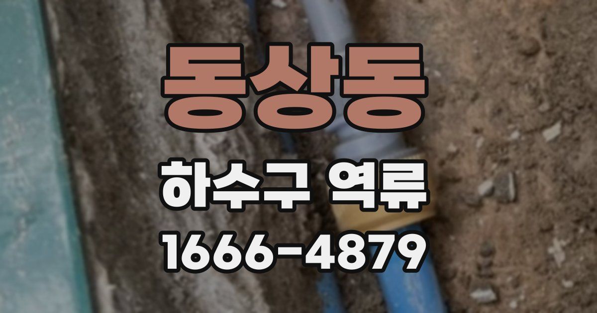 동상동 하수구 역류