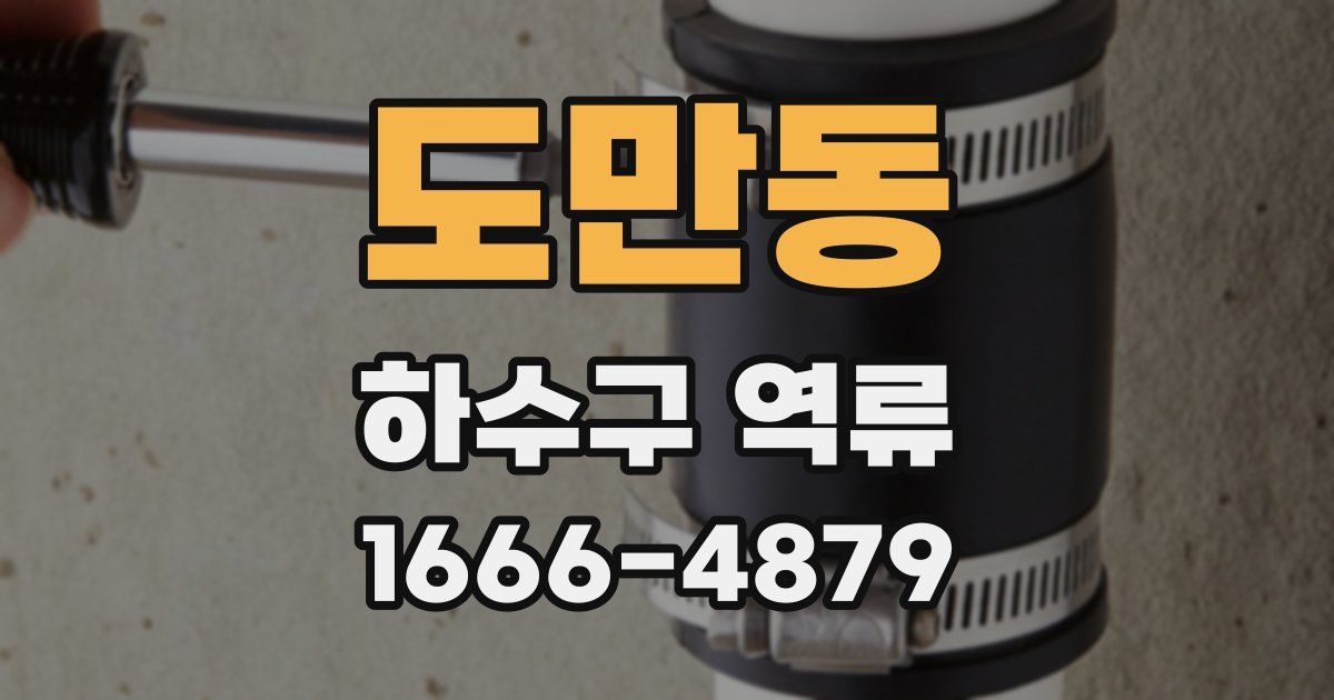 도만동 하수구 역류