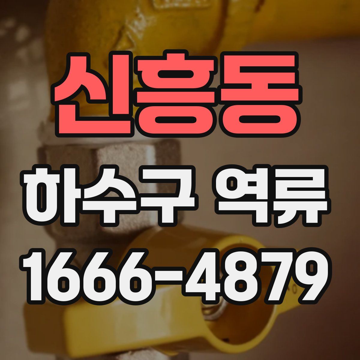 신흥동 하수구 역류