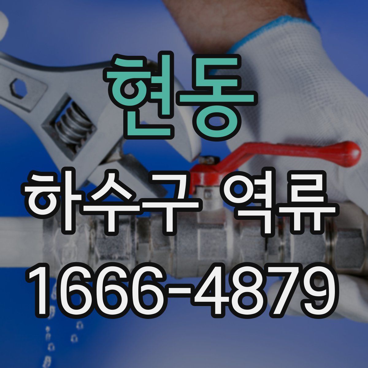 현동 하수구 역류