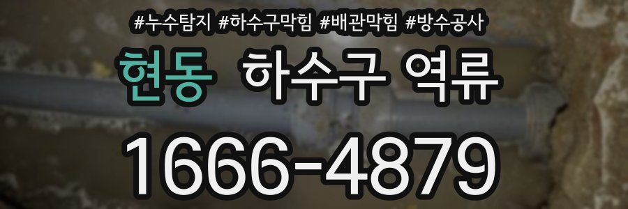 현동 하수구 역류