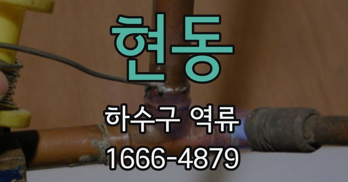 현동 하수구 역류