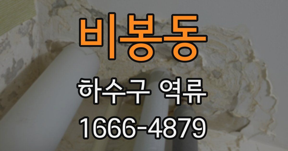 비봉동 하수구 역류