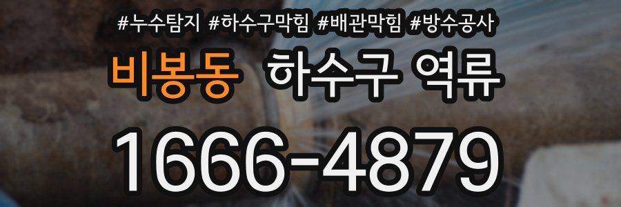 비봉동 하수구 역류
