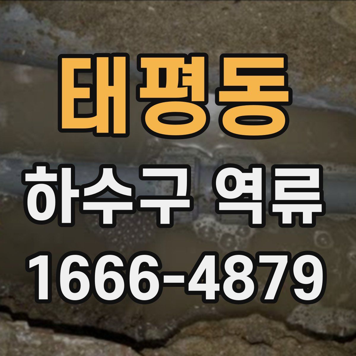 태평동 하수구 역류