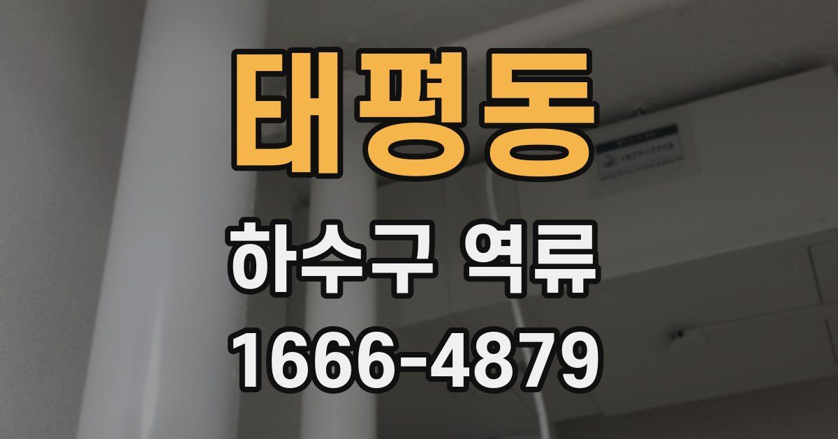 태평동 하수구 역류