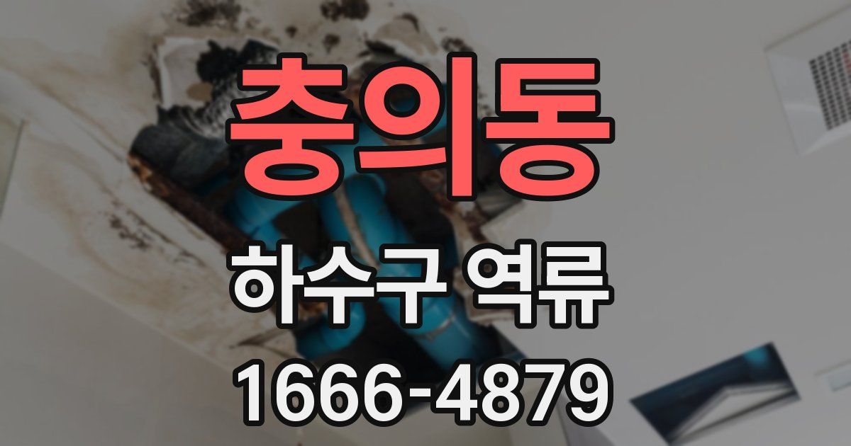 충의동 하수구 역류