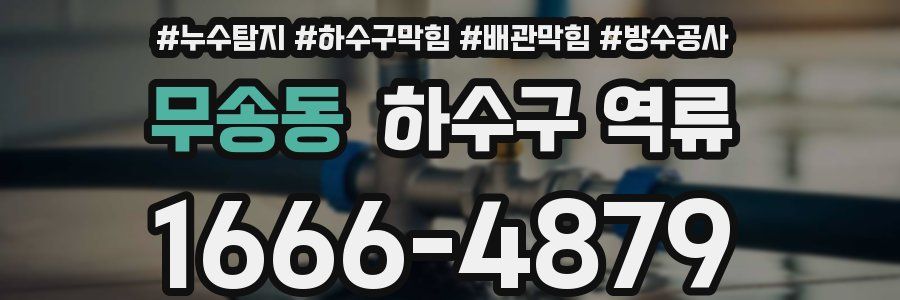 무송동 하수구 역류