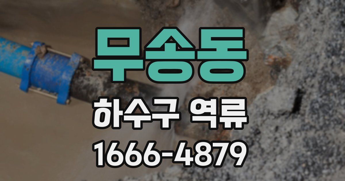무송동 하수구 역류