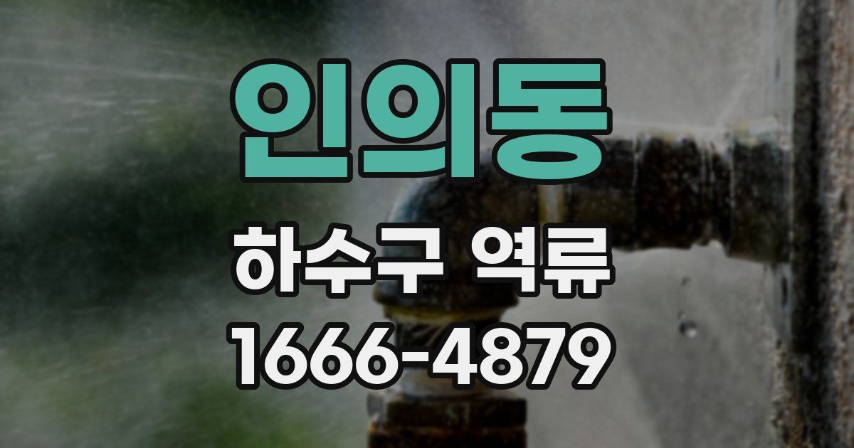 인의동 하수구 역류