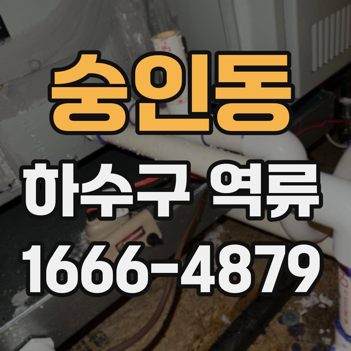 숭인동 하수구 역류