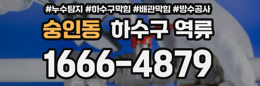 숭인동 하수구 역류