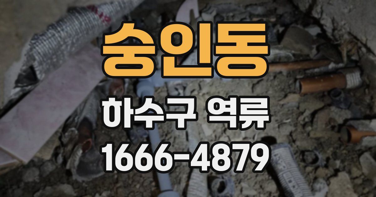숭인동 하수구 역류
