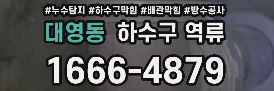 대영동 하수구 역류
