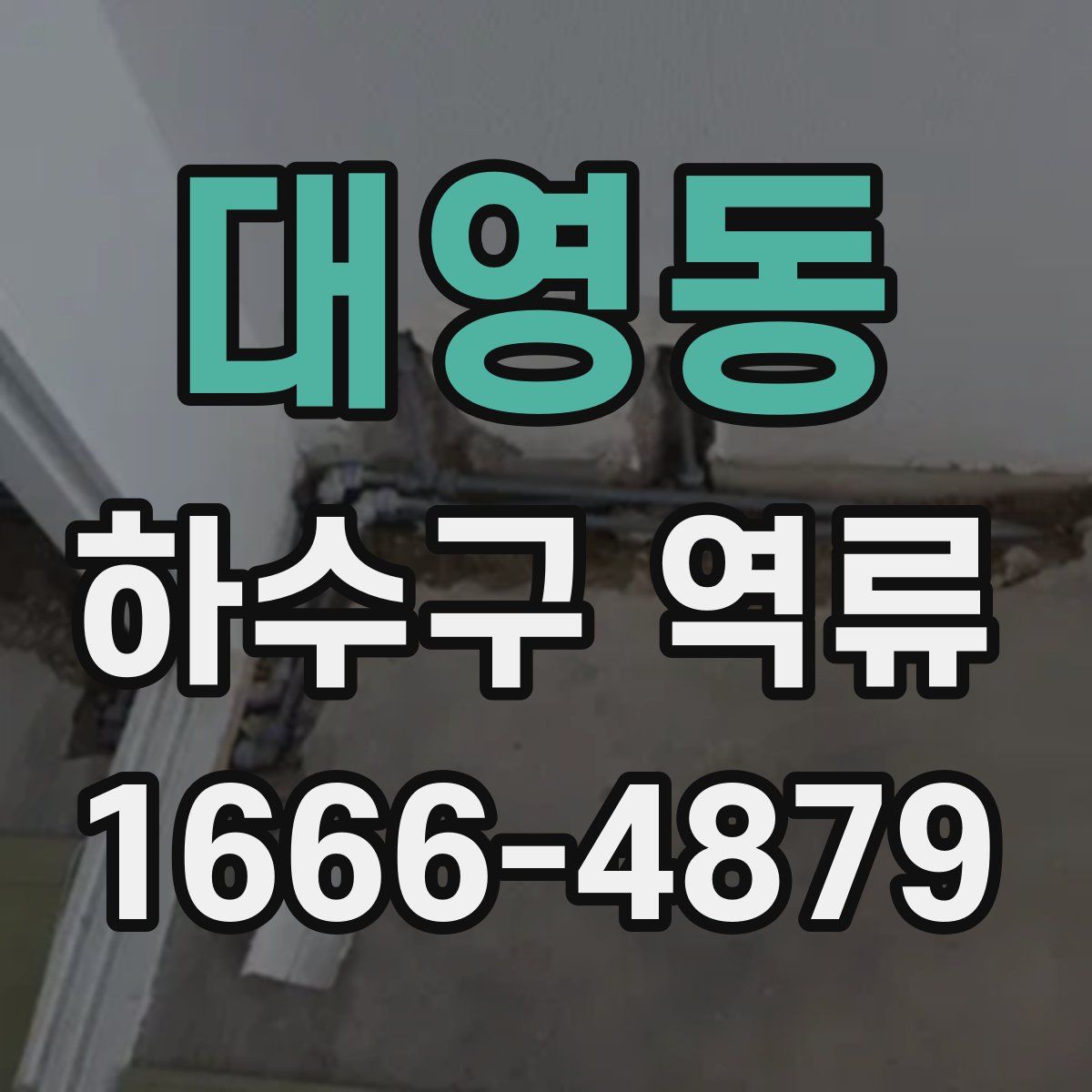 대영동 하수구 역류