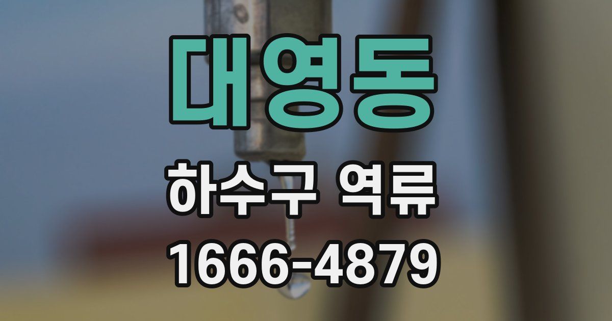 대영동 하수구 역류